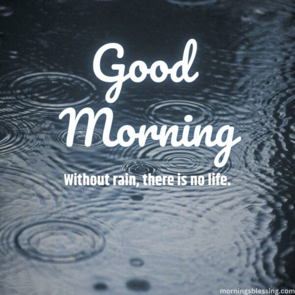 Good Morning Without Rain There Is No Life