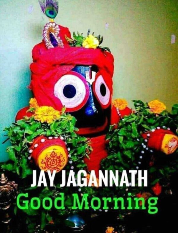 Jai Shree Jagannath Good Morning Photo