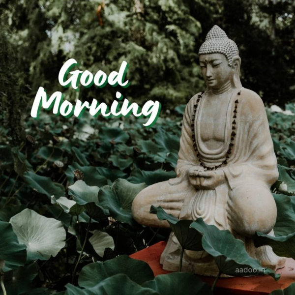 Lord Buddha Amazing Good Morning