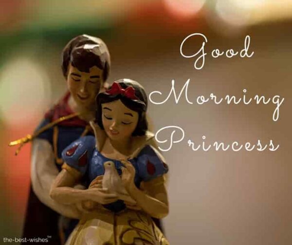 Lovely Good Morning Princess Pic