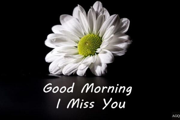 Miss You Have A Great Good Morning