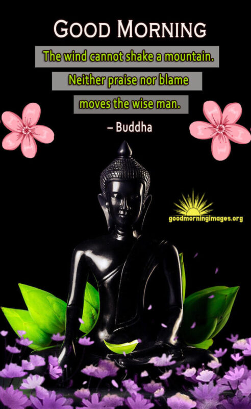 Morning Blessings From Buddha Hd