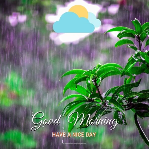 Rainy Good Morning Images