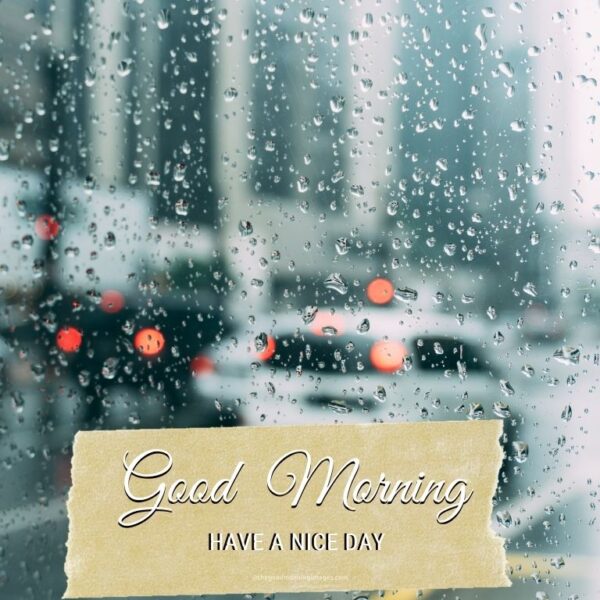 Rainy Good Morning Pics