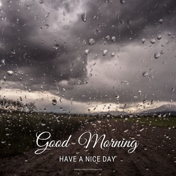 Rainy Good Morning Picture