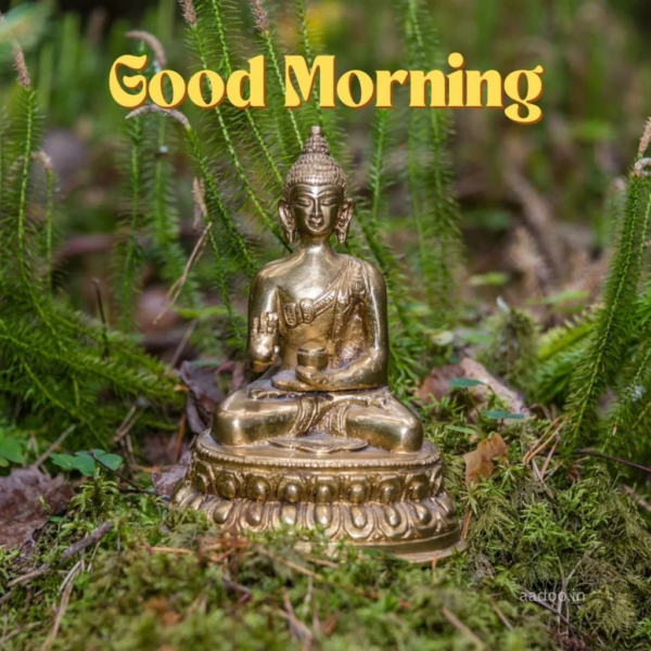 Wonderful Amazing Good Morning Lord Buddha Image