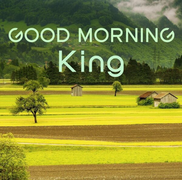 Wonderful Good Morning King Image