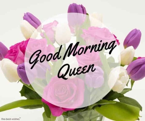 Wonderful Good Morning Queen Photo