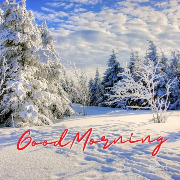 Wonderful Good Morning Winter Photos