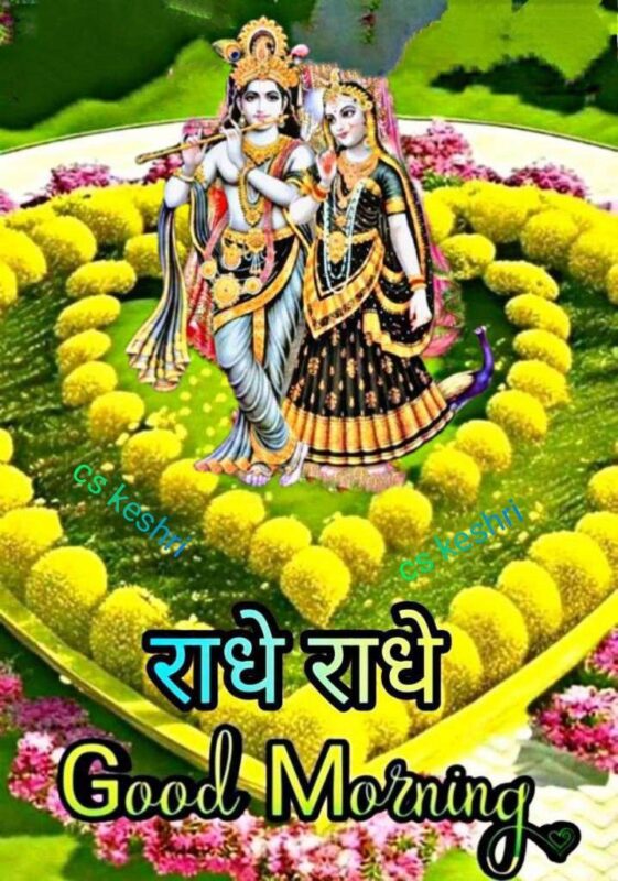 Wonderful Good Morning Radhe Radhe Photo