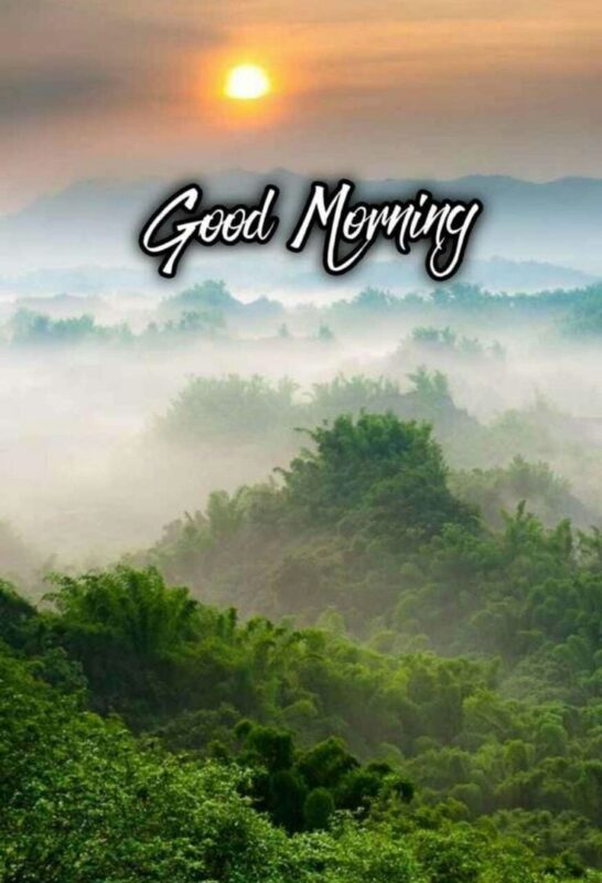 Fantastic Good Morning Fog Picture