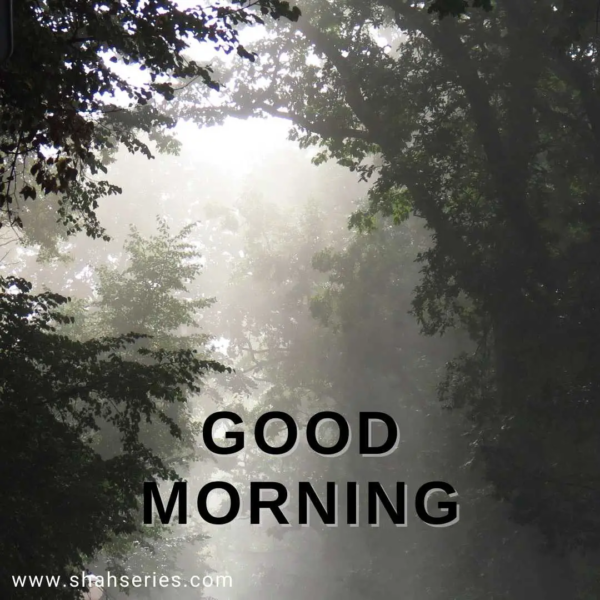 Good Morning Fog Have A Nice Day