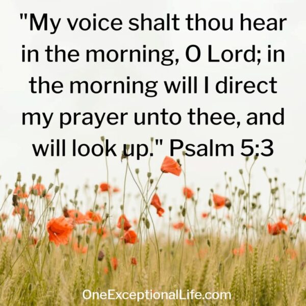 My Voice Shalt Thou Good Morning Bible