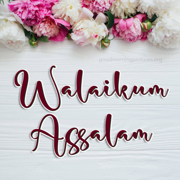 Awesome Good Morning Walaikum Assalam