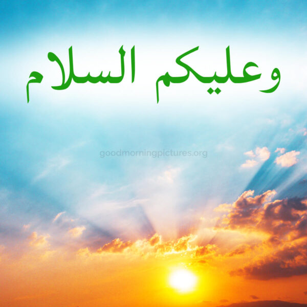 Great Good Morning Walaikum Assalam