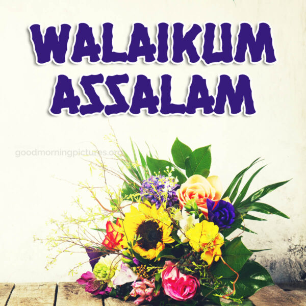 Great Good Morning Walaikum Assalam Pic