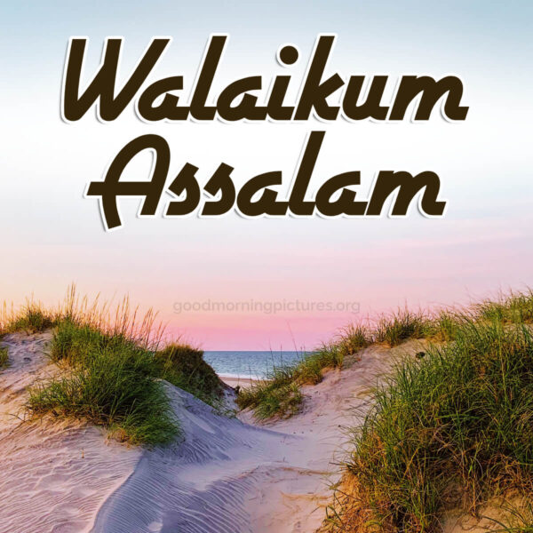 Morning Walaikum Assalam Image