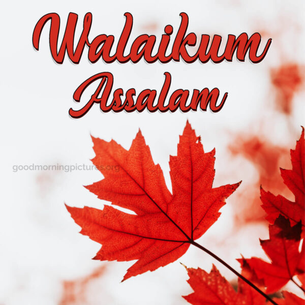 Outstanding Good Morning Walaikum Assalam Image