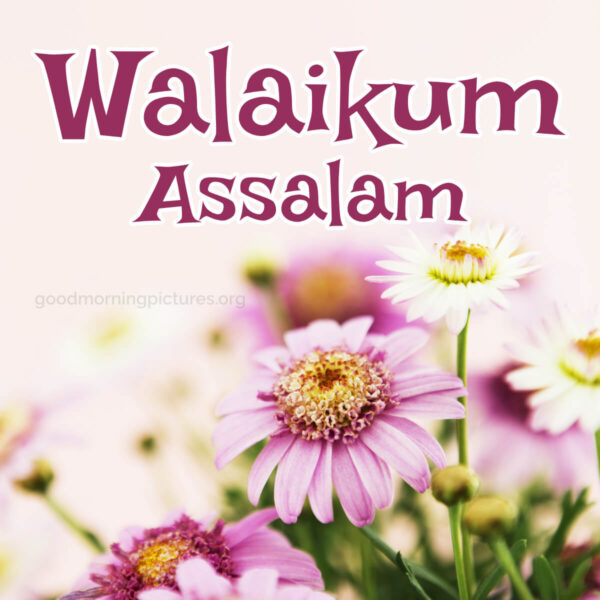 Walaikum Assalam Good Morning Image