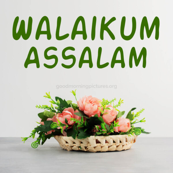 Wonderful Good Morning Walaikum Assalam Photo